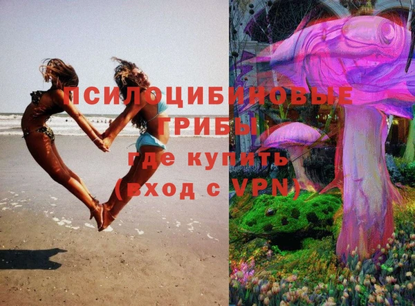 не бодяженный Балахна