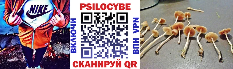 Галлюциногенные грибы Magic Shrooms Купить Гусев